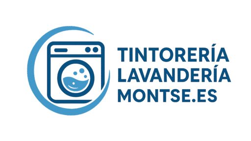 tintorerialavanderiamontse.es